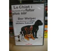 Der Welpe: Gute Grundlagen für eine sichere Zukunft
