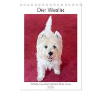 Der Westie - Portrait eines West Highland White Terriers (Tischkalender 2026 DIN A5 hoch), CALVENDO Monatskalender: Wunderschöne Fotos eines West ... Liebhabern nur kurz Westie genannt wird.