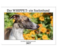 Der Whippet - ein Seelenhund (Wandkalender 2027 DIN A3 quer), CALVENDO Monatskal