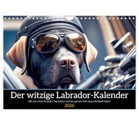 Der witzige Labrador-Kalender (Wandkalender 2026 DIN A4 quer), CALVENDO Monatskalender: Mit mir wird der Labrador Besitzer jeden Tag lachen und ein ganzes Jahr lang viel Spaß haben