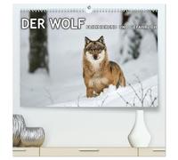 DER WOLF - faszinierend und gefährlich (hochwertiger Premium Wandkalender 2026 DIN A2 quer), Kunstdruck in Hochglanz: Faszinierende Aufnahmen von Wölfen.