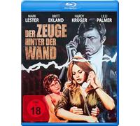 Der Zeuge hinter der Wand (Diabolisch)