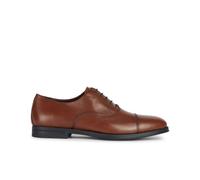 Derbie Geox Decio Marron 42