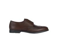 Derbie Geox Decio Marron 44