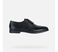 Derbie Geox Decio Noir 43