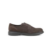Derby Geox Ottavio Marron 40