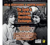 Derbyshire Delia, Hannett Martin - Synth & Electronic Recording Exchanges