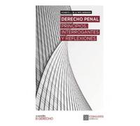 DERECHO PENAL PRINCIPIOS INTERROGANTES REFLEXIONES