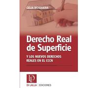Derecho real de superficie y los nuevos derechos reales en el CCCN