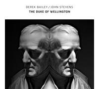Derek Bailey & John Stevens The Duke of Wellington (CD) Album