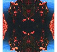 Derek Bailey & the Ruins - Tohjinbo