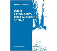 Derive e prospettive della mediazione sociale