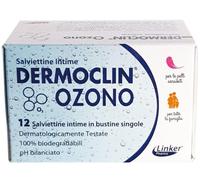 DERMOCLIN SALVIETTINE INT 12PZ