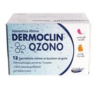 DERMOCLIN SALVIETTINE INT 12PZ