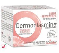 DERMOPLASMINE MOUSSE 20 G