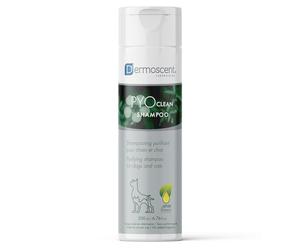Dermoscent PYOclean Shampoo per cani e gatti - Formula sensibile anti-prurito per controllare le infezioni della pelle e i sintomi allergici - 200 ml