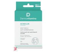 pasquali srl Dermovitamina Acneclin Patch Antimperfezioni 30 Pezzi