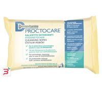 DERMOVITAMINA PROCTOCARE SALVIETTE DETERGENTI 15 PEZZI