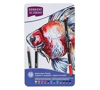 DERWENT Academy™ matite acquarellabili - 12pz - 2301941 - NUOVO