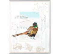 Derwentwater Designs Craft kit, in cotone, multicolore, One
