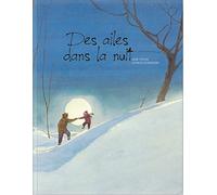 Des ailes dans la nuit
