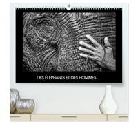 DES ÉLÉPHANTS ET DES HOMMES (Calendrier mural 2026 DIN A2 vertical) calendrier de bureau: La relation entre les éléphants et les hommes en Asie du sud-est