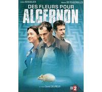 Des fleurs pour algernon