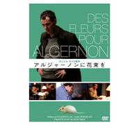 Des Fleurs pour Algernon