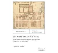 Des mots dans l'histoire: Essai d'anthropologie politique guarani (XIXe-XVIe et XVIe-XIXe)