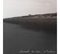 Descend To Rise - Milestones