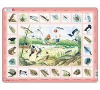 Desconocido nel laghetto.