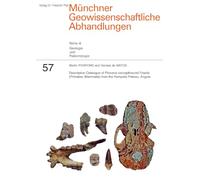 Descriptive Catalogue of Pliocene cercopithecoid Fossils (Primates, Mammalia) from the Humpata Plateau, Angola: 57
