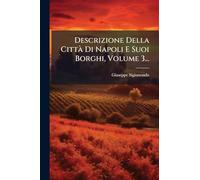 Descrizione Della Città Di Napoli E Suoi Borghi, Volume 3...