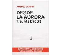 Desde la aurora te busco: Evangelizar la sensibilidad para aprender a discernir: 165