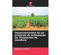 Desenvolvimento de um protocolo de aclimatação de vitroplantas de mandioca