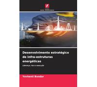 Desenvolvimento estratégico de infra-estruturas energéticas: Liderança, risco e execução