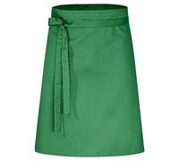 DESERMO Grembiule professionale di alta qualità, 60 x 80 cm (lunghezza x larghezza), per uomo e donna - grembiule da cucina in misto cotone - grembiule con ampia scelta di colori, verde, 5er Set