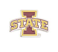 Desert Cactus Iowa State University Cyclones ISU spilla da bavero smaltata in metallo (design A), bronzo, senza pietre preziose
