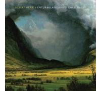 DESERT HEARTS - ENTURBULATION = NO..