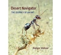 Desert Navigator: The Journey of an Ant