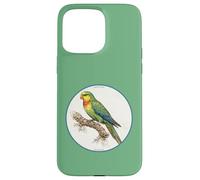 Design colorato con pappagallo e uccellino Custodia per iPhone 15 Pro Max