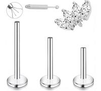 Design Minimalista Set Borchie Naso con Strumenti，Universale per Cartilagine Sopracciglia e Anello Labbra，Unisex per Uomini e Donne.(Silver Set)