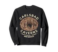 Design retrò Vintage del Parco Nazionale di Carlsbad Caverns Felpa