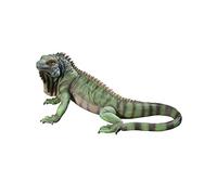 Design Toscano Iggy l'Iguana Statua da giardino, poliresina, a colori, 56 cm