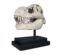 Design Toscano NE100502 Statua Teschio Fossile TRex su Supporto da Museo, Multicolore, 25.5x49.5x57 cm