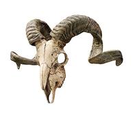 Design Toscano Tuschio di Ariete corso con corni Scultura da parete Replica tassidermica animale, poliresina, a colori, 45,75 cm