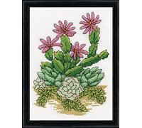 Design Works Counted Cross Stitch Kit 5 "X7" - cactus (14 monete)