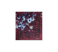 Desigual Foulard rosso / bianco Donna Desigual One Size