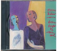 Desire Caught BY The Tail