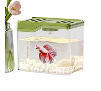 Desktop Fish Tank - Lightweight Sturdy Bowl Room Decor With Colorful LED Lights | Compact Aquarium For Home Office Desk For Family, Friends, Colleagues | Decorative Fish Bowl With Illum